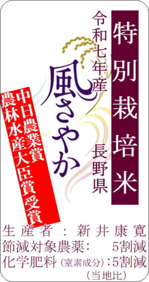 7tokusai nagano kazesayaka