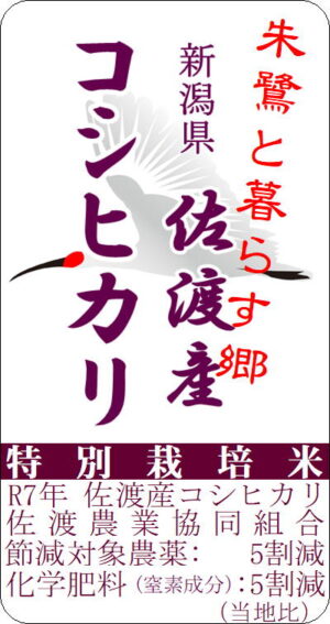 7tokusai sado koshihikari