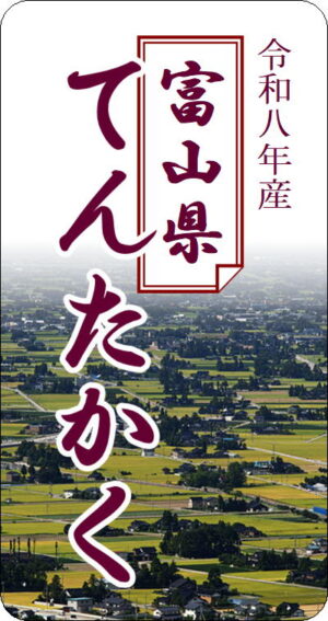 8年産富山県産てんたかく